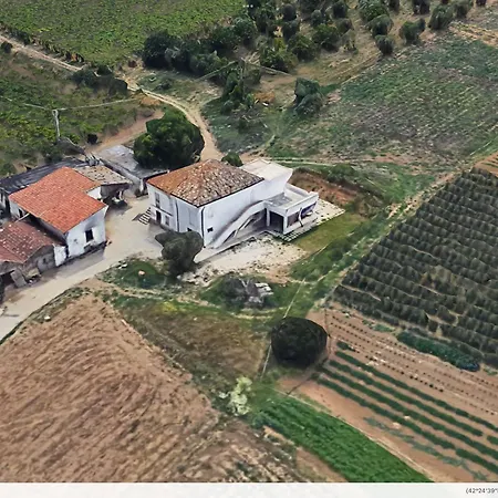 Da Lucia Francavilla Al Mare