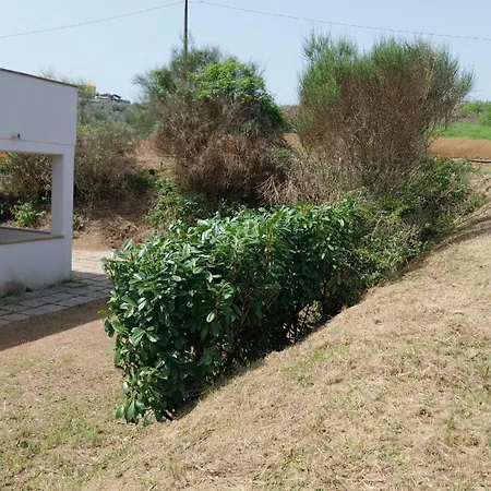 Da Lucia * Francavilla Al Mare