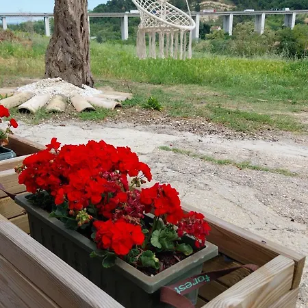 Da Lucia Francavilla Al Mare