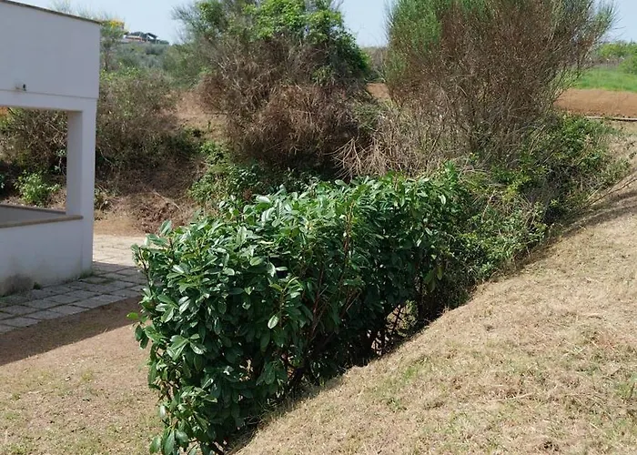 Da Lucia * フランカヴィッラ・アル・マーレ