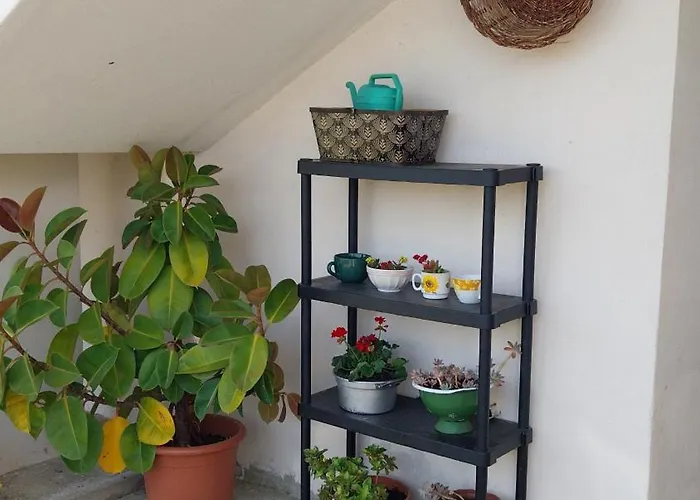 Da Lucia * フランカヴィッラ・アル・マーレ