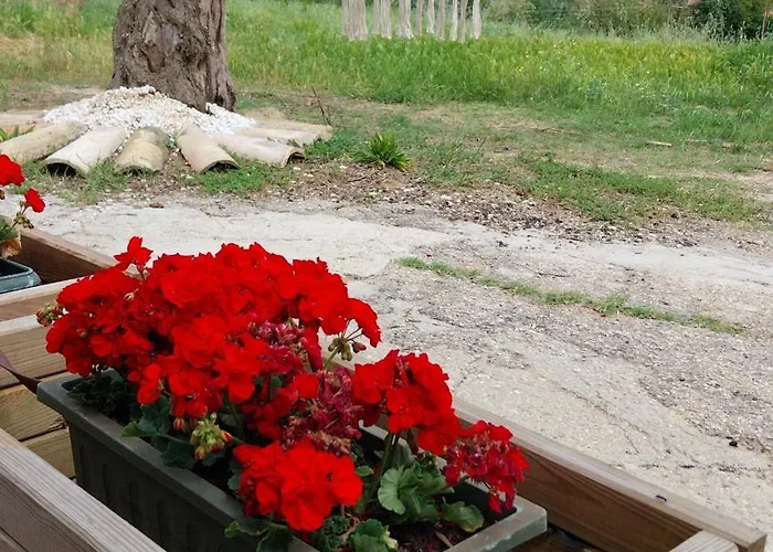 Da Lucia フランカヴィッラ・アル・マーレ